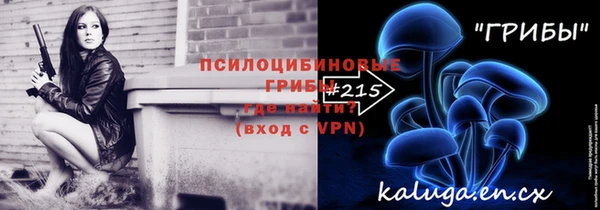 spice Володарск
