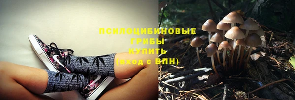 марки nbome Осинники