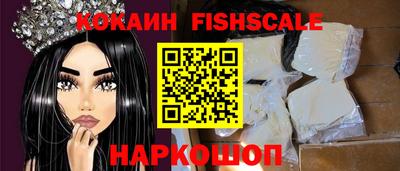 стафф Камышлов