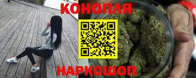 стафф Камышлов
