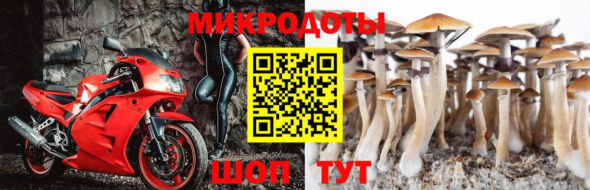 Галлюциногенные грибы прущие грибы Саров