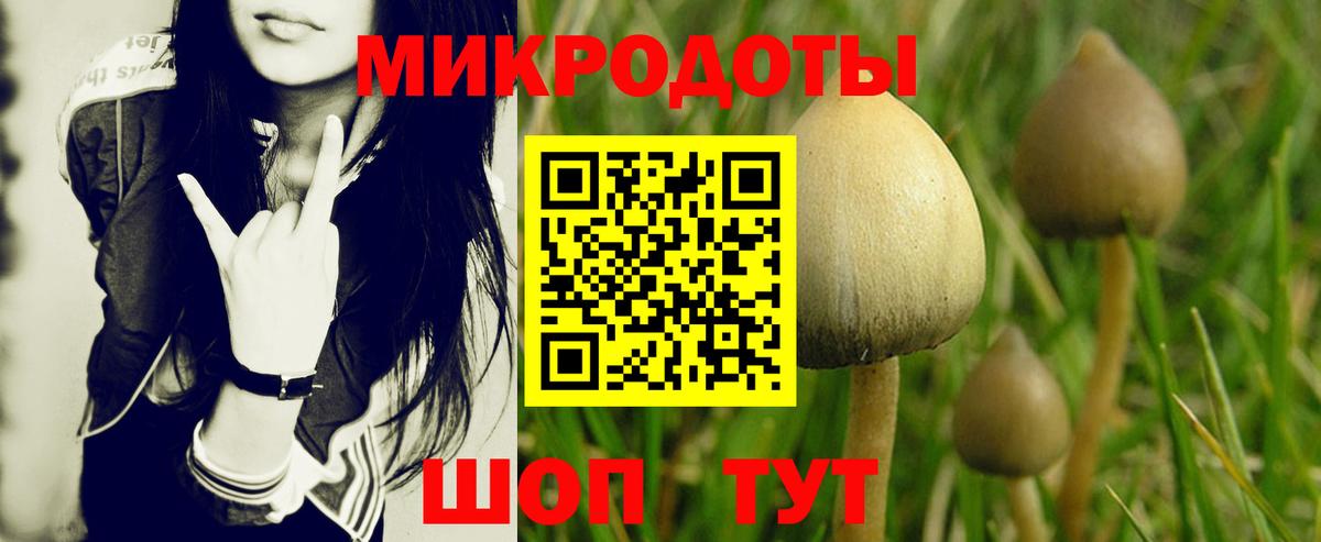 Псилоцибиновые грибы GOLDEN TEACHER  Вход с VPN  Саров 