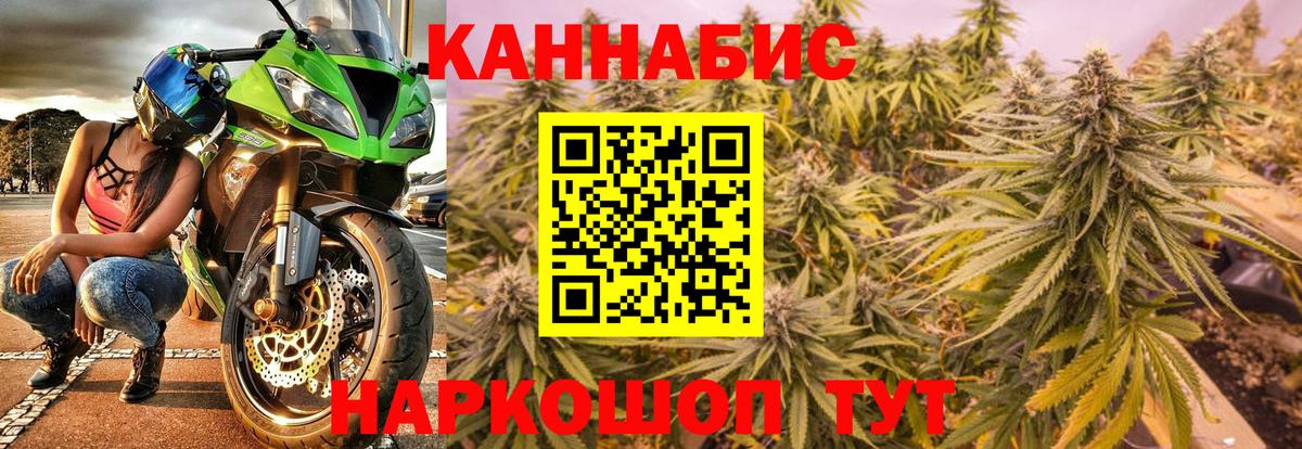 Конопля планчик Саров